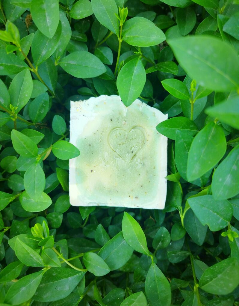 Menta i Limun